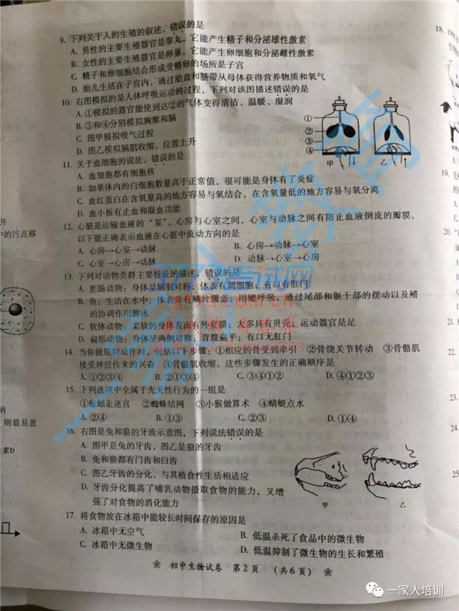 2018п⼰𰸷